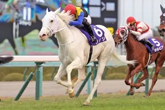 如何选出日本年度马王 日本赛马的jra赏简单介绍 哔哩哔哩