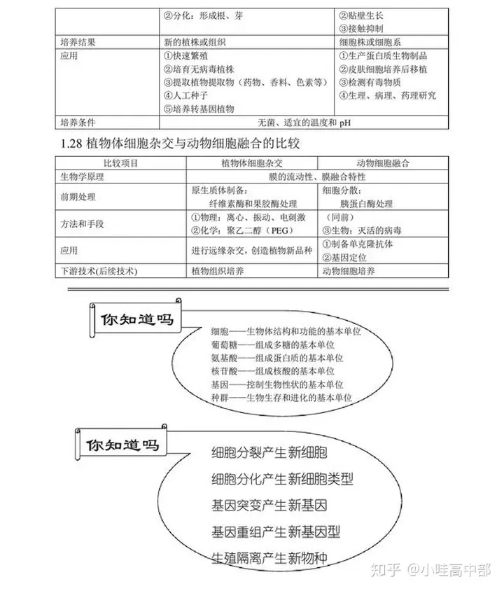 高三二轮复习生物知识结构网络 知识全面 包含各单元重点 哔哩哔哩