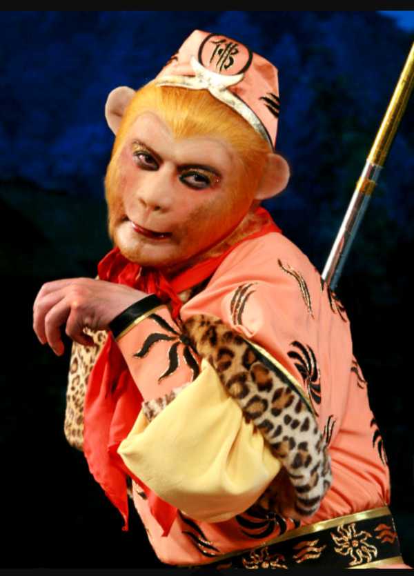 杨洁的自传概览--我的九九八十一难