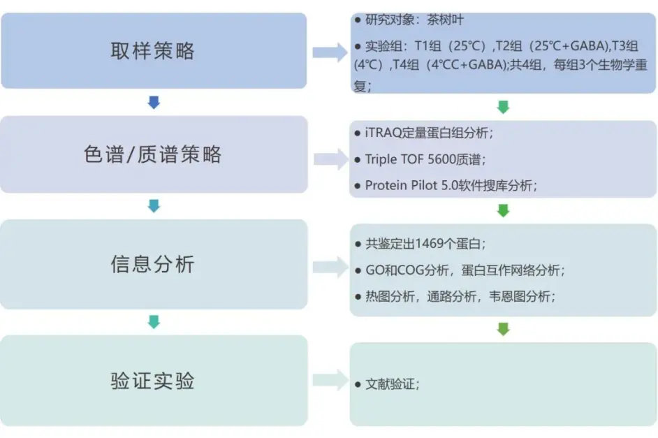 项目文章 Itraq定量蛋白质组学助力南京农大茶树抗寒机制研究 哔哩哔哩