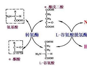 2026年全球氯消毒剂片行业深度分析报告：绿色转型浪潮下的结构性机遇与挑战