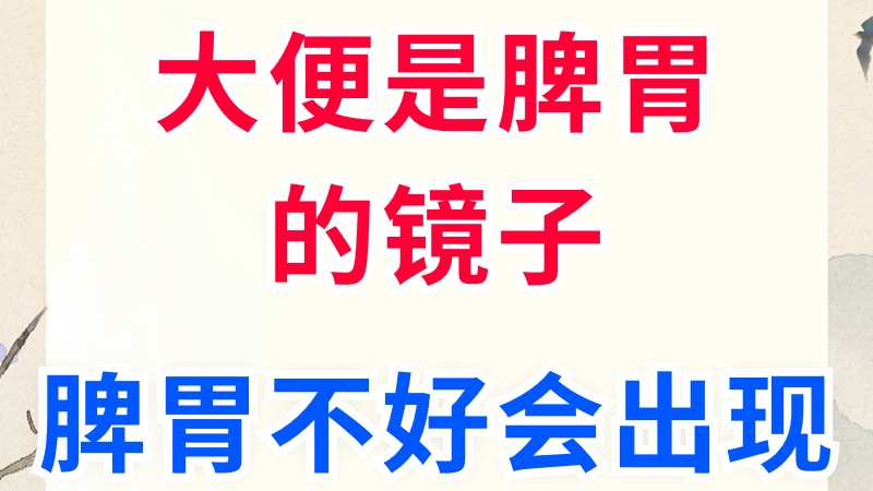 大便是脾胃的镜子，脾胃不好会出现这几种异常大便 哔哩哔哩 2041