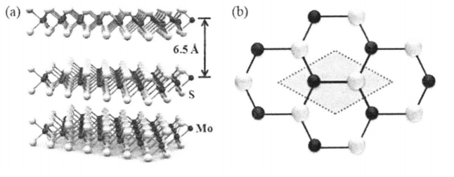 二硫化钼原胞图片