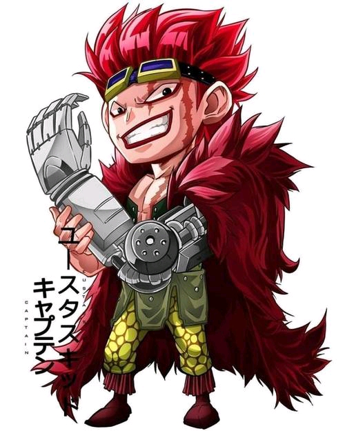 海贼王p站搬运船长尤斯塔斯基德同人图