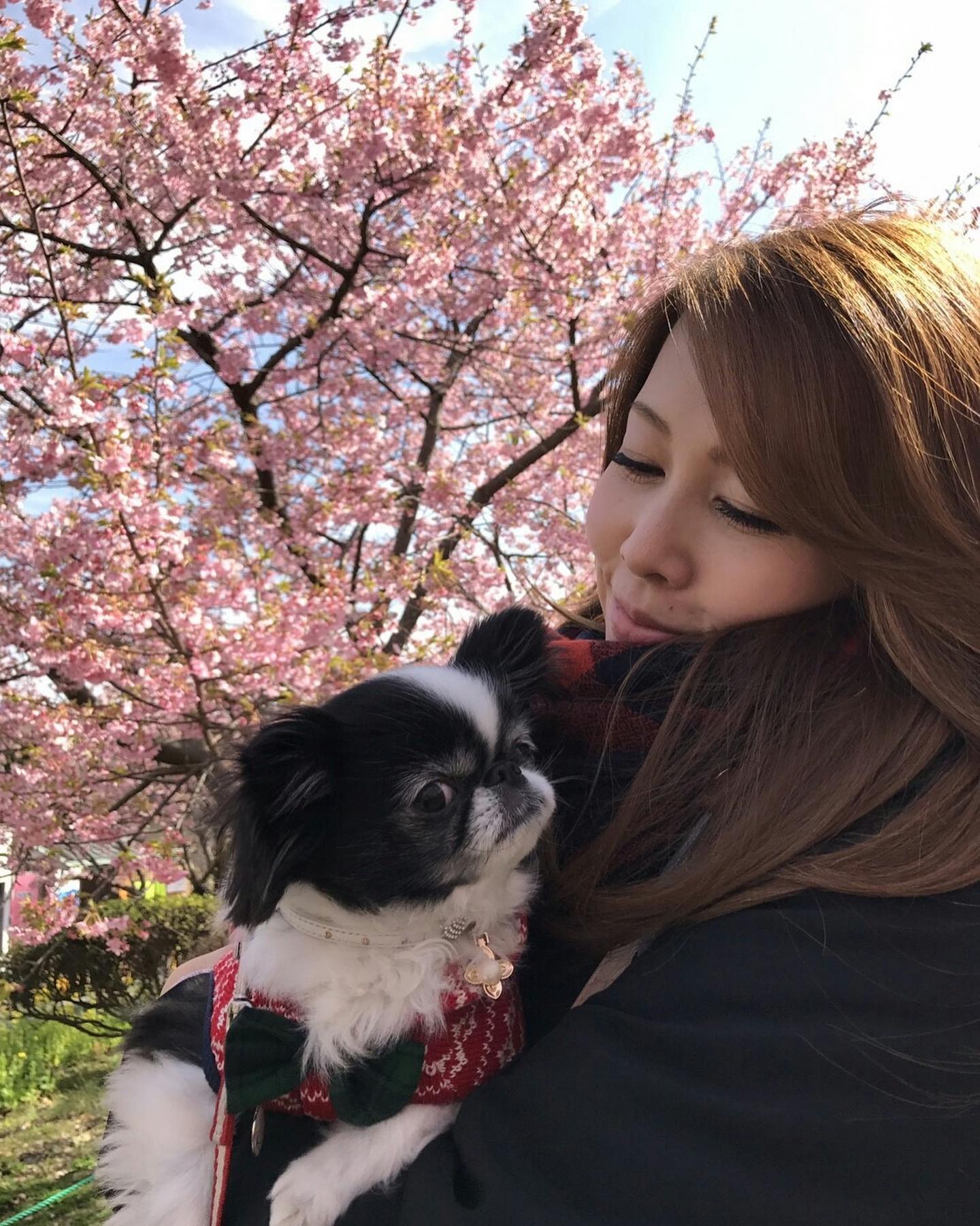 【大家的精选】風間 ゆみ 哔哩哔哩