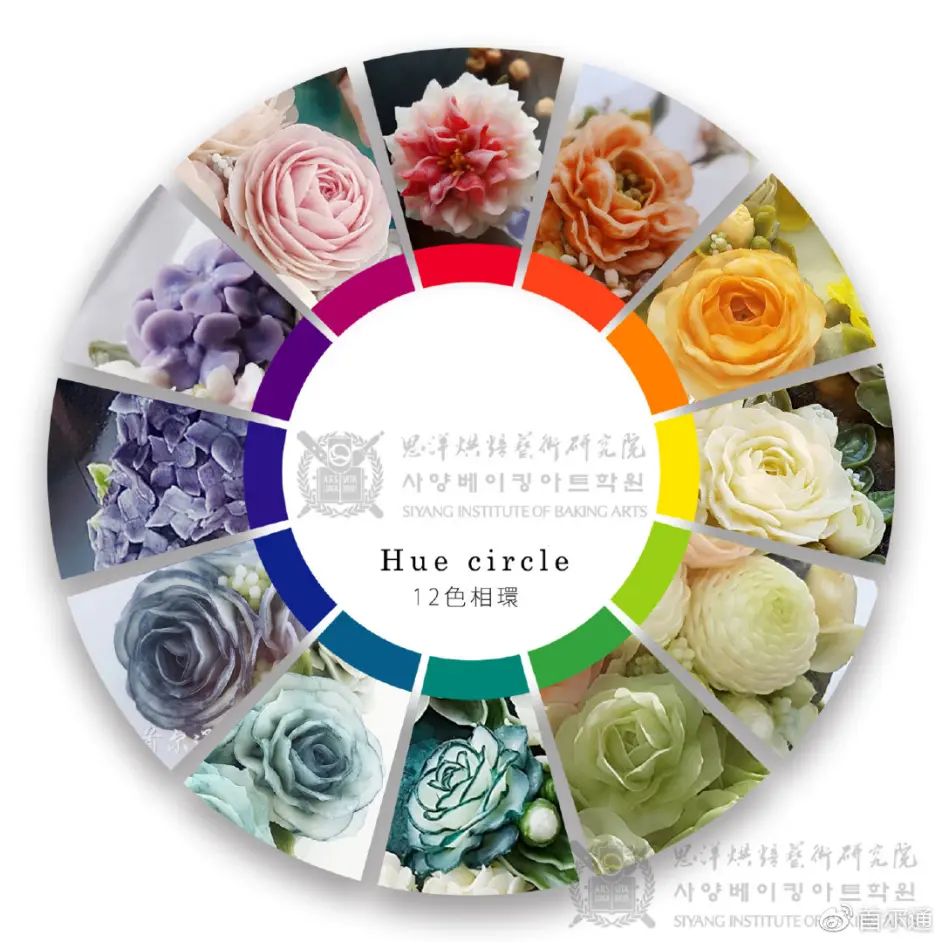 首尔通韩式裱花调色配色秘籍 色相环原理与配色 哔哩哔哩