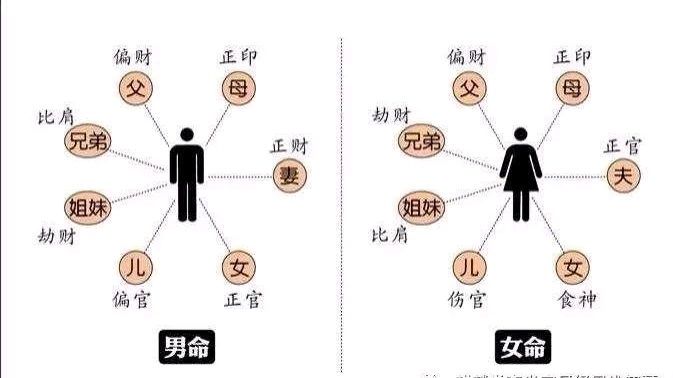 八字基础知识归纳 3 十神篇 哔哩哔哩