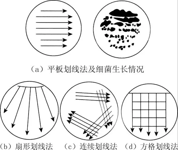 密集划线法图片