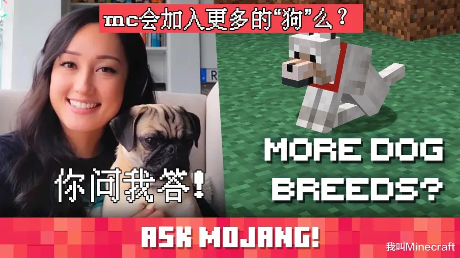 Minecraft将要加入更多的 狼 Mojang 我们也超想的 哔哩哔哩