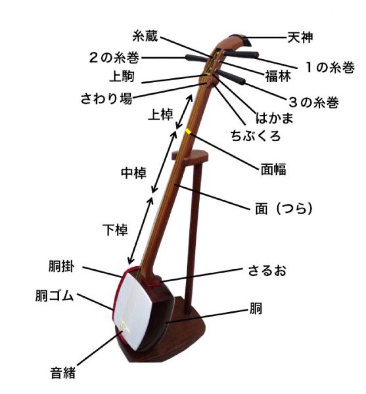 日本乐器三味线介绍(4.0版本) - 哔哩哔哩