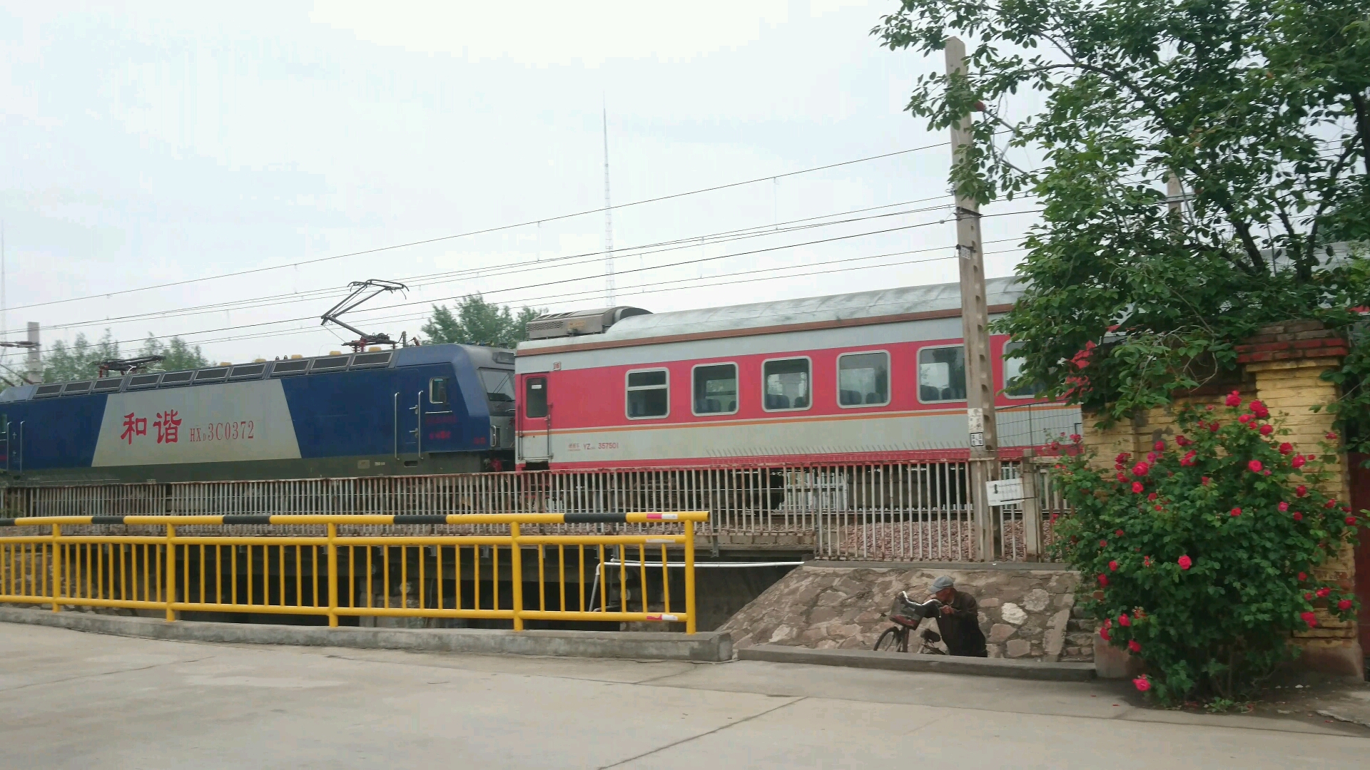 k7725 次列车和了望塔下蔷薇花