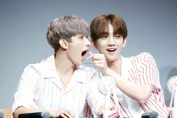 李硕珉x洪知秀牙刷喜欢你是个人取向