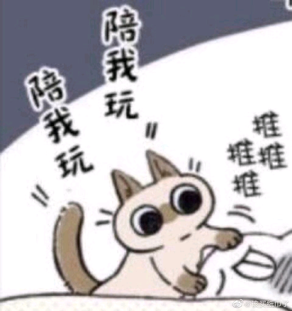 表情包 小豆泥 哔哩哔哩 