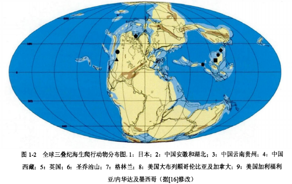 4,鬼谷:纯信龙类(pistosauroidea)是卡尼期洪积事件后崛起的
