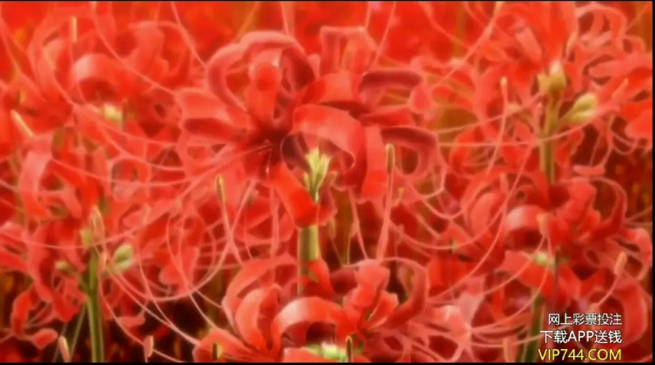 地狱少女一道 风景特辑 哔哩哔哩