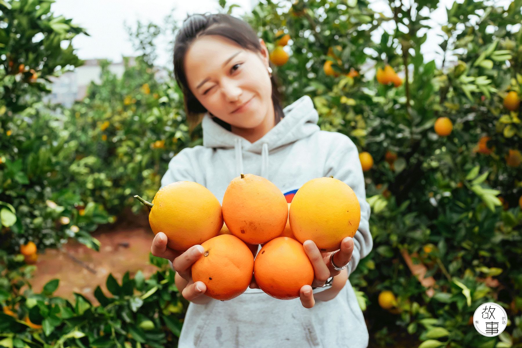 这里是位于宜章大道平乐山庄,听说这里的脐橙甜到不行,而且
