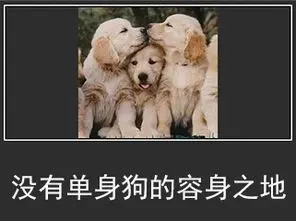 带着一个团去谈恋爱 Eve玩家再秀神操作 联盟兄弟组团帮忙追妹子 哔哩哔哩