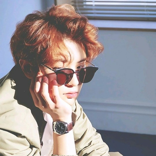 这个世界有毒 日常篇