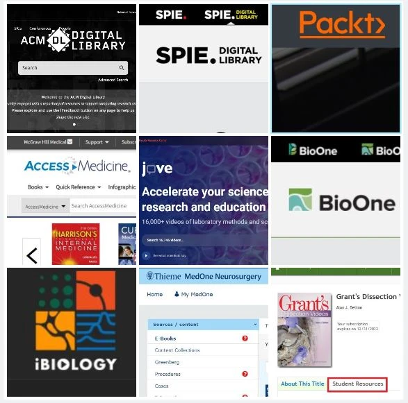 Springer, ACM, IEEE会议论文集 丛书 长期征稿 哔哩哔哩