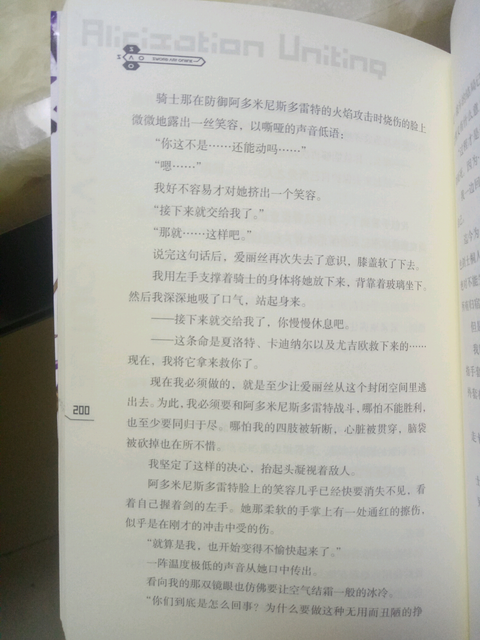 刀剑神域24集小说图片(其实就是剧透)