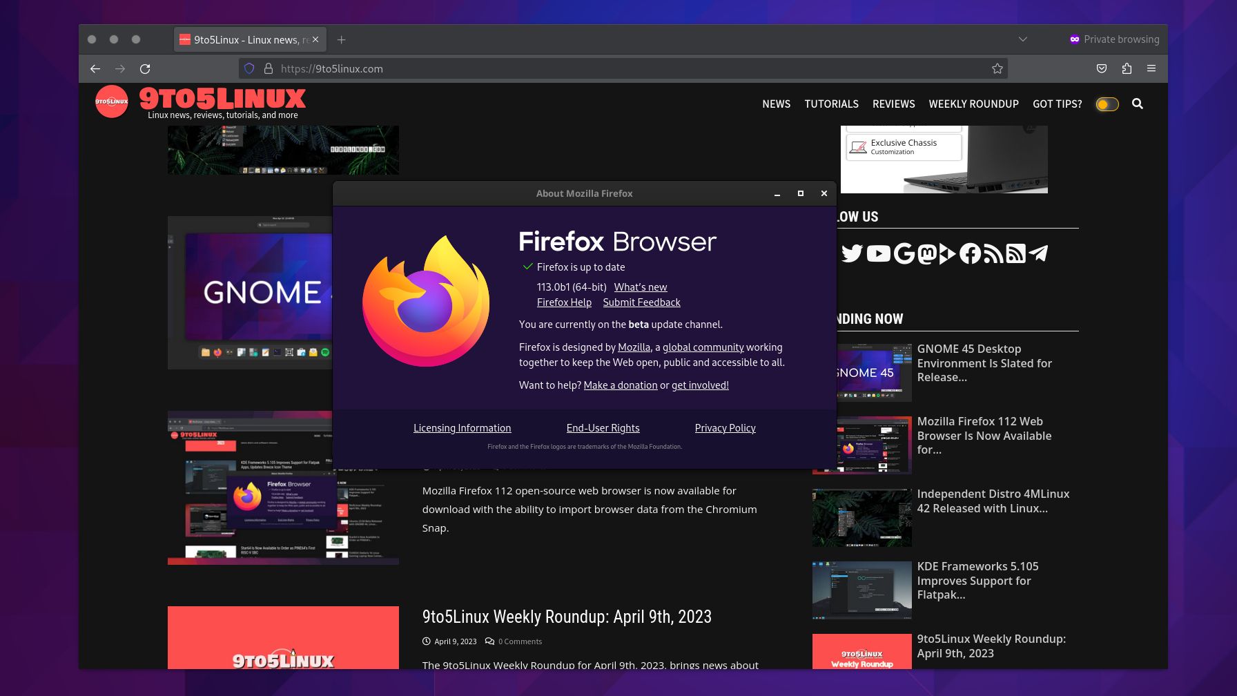 Firefox 113 beta av1 