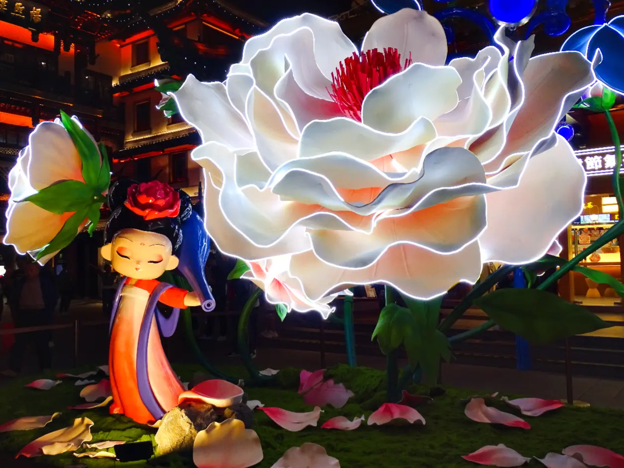 [一带一路学世界] 牡丹花灯笼