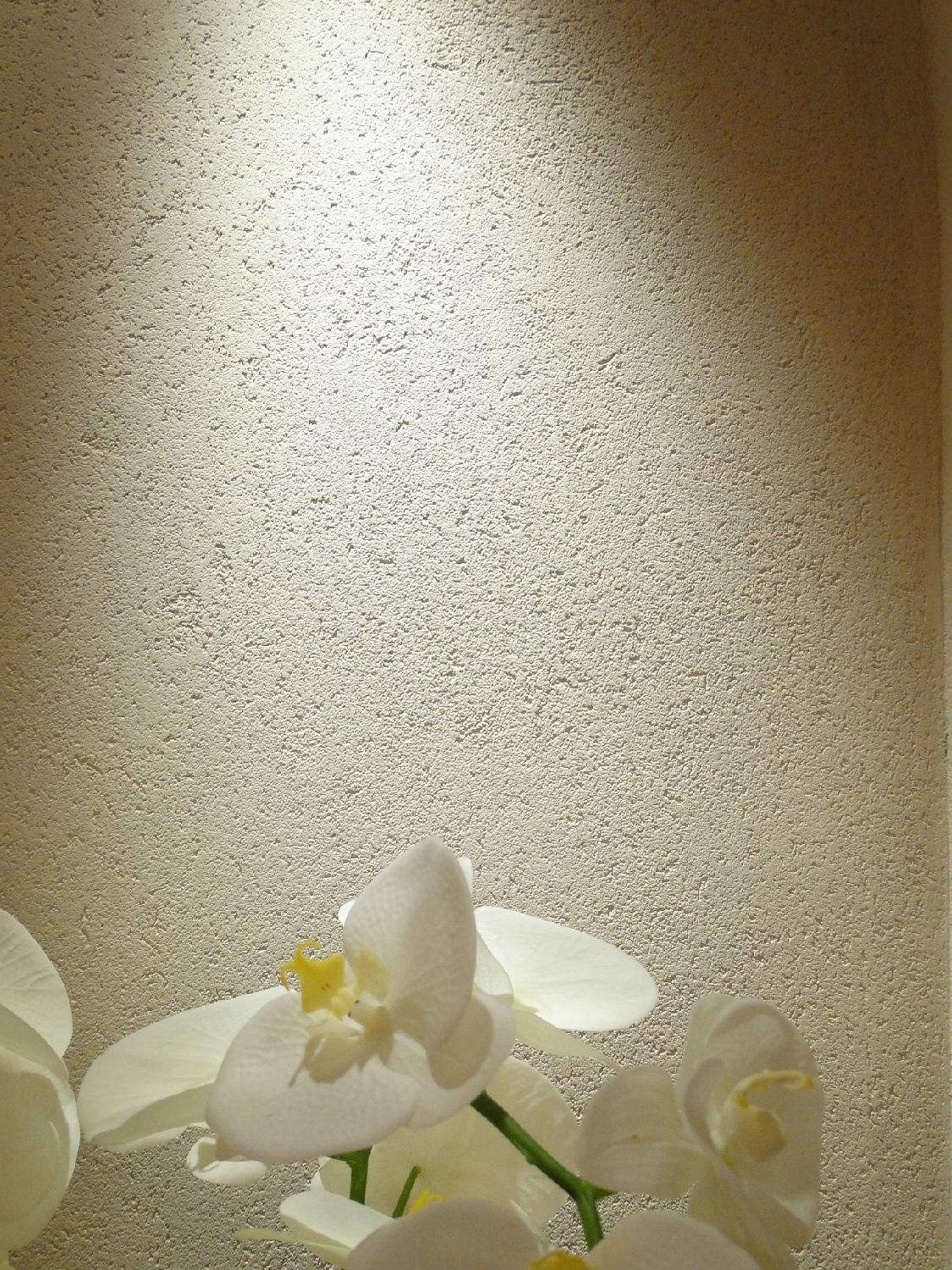 质感涂料——无机灰泥涂料知识科普 - 哔哩哔哩