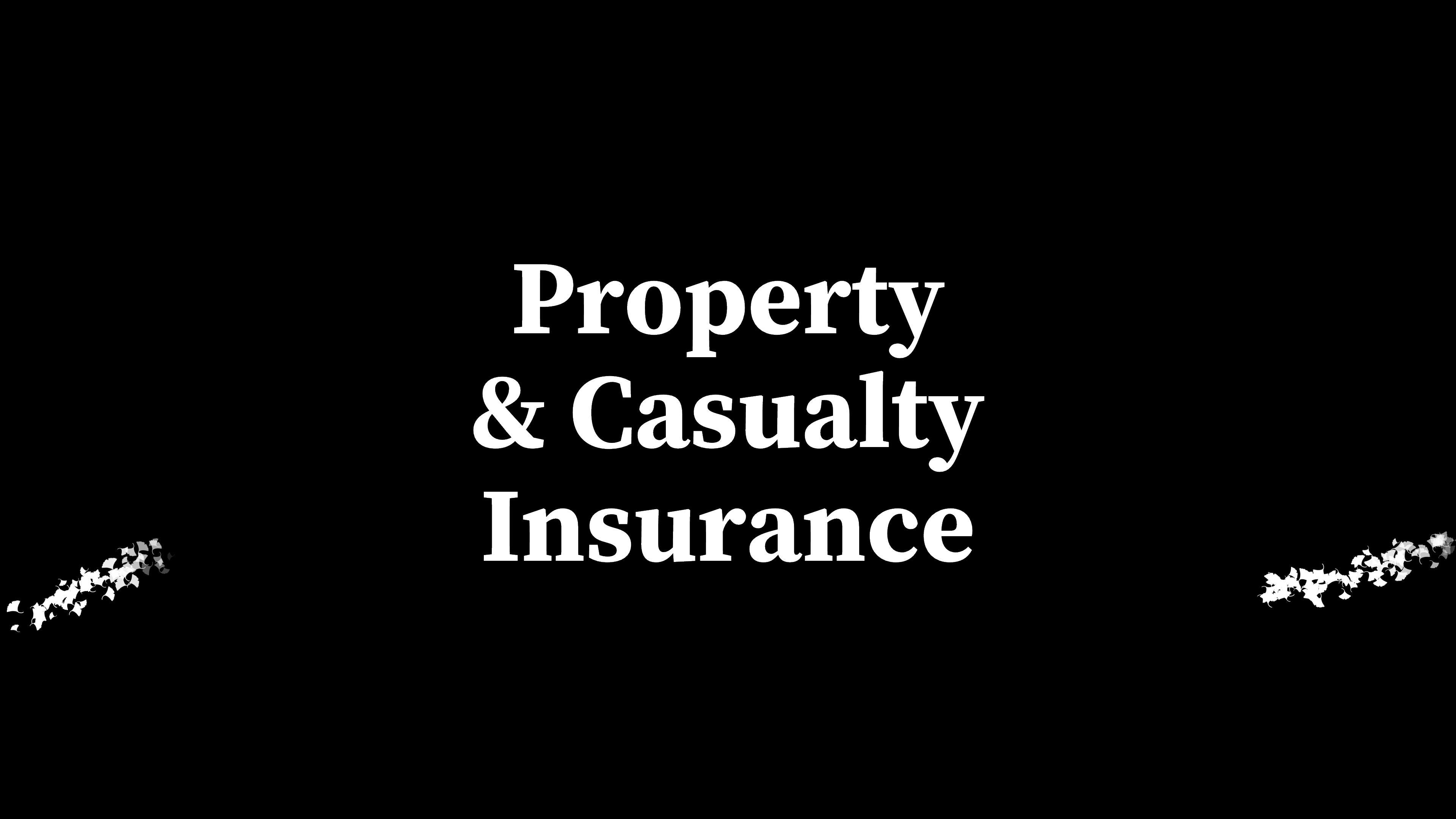 PROPERTY & CASUALTY INSURANCE (INSURANCE) 哔哩哔哩