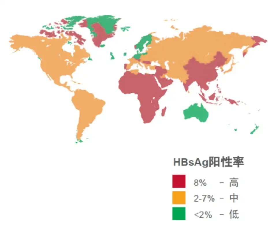 乙肝病毒如何疯狂感染全球亿人 第一支乙肝疫苗是如何诞生的 哔哩哔哩