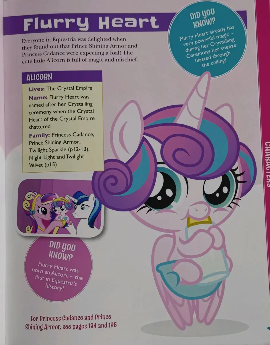 我的小马驹角色指南 5 次要角色篇接 哔哩哔哩