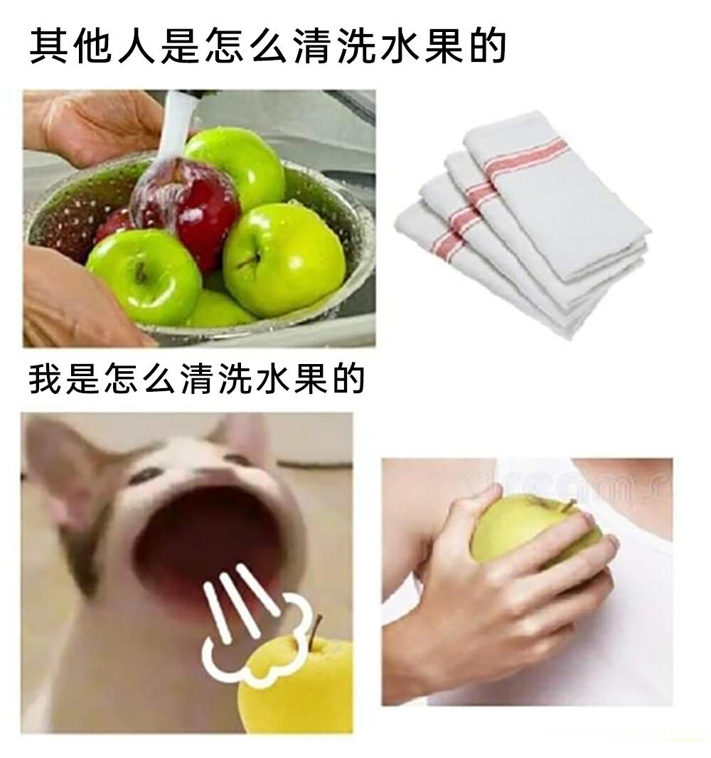 meme梗图:只要速度够快! - 哔哩哔哩