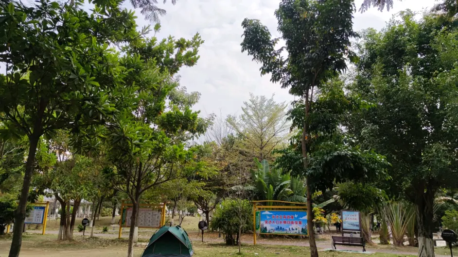 人生目标 藤氏篇 哔哩哔哩