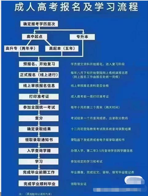 成人教育咨询：助力终身学习之旅