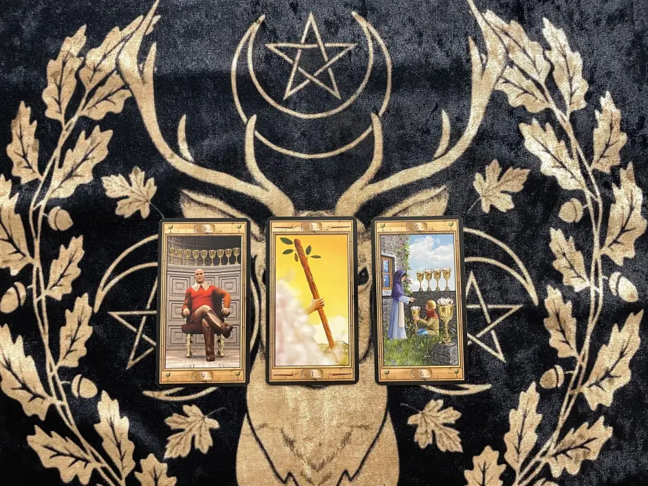 简恩塔罗 水瓶座下周运势 希望你能拥有强大的爱和温柔 哔哩哔哩