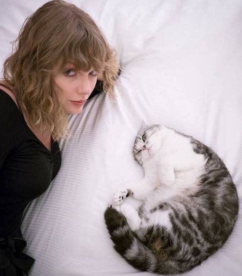 如果你是泰勒斯威夫特的男友,你惹她生气了,怎么办.