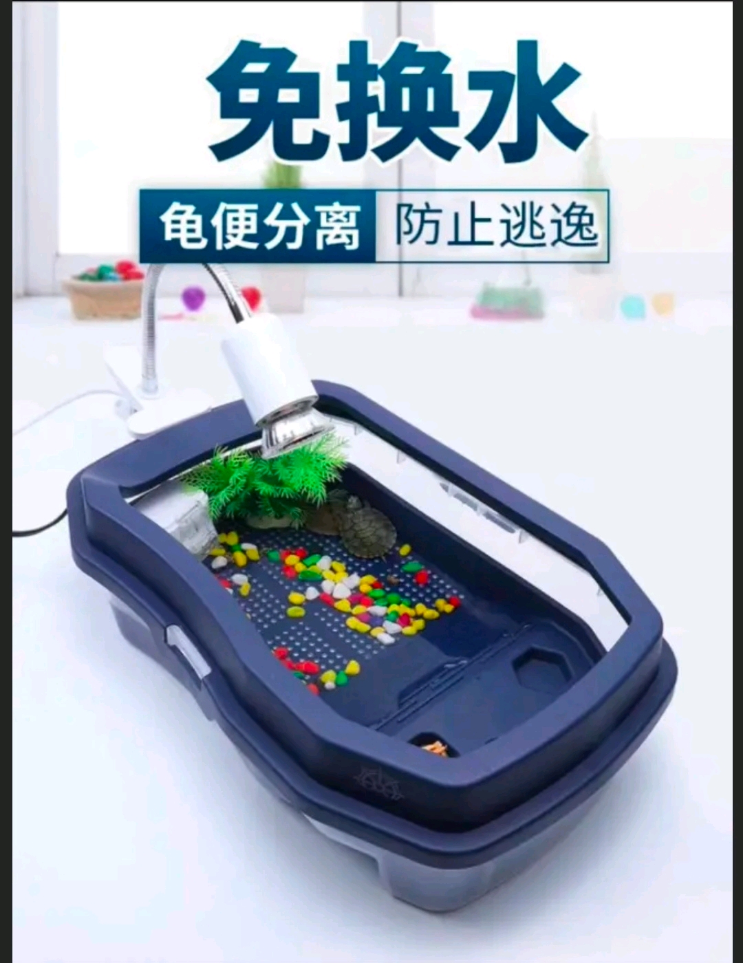 养龟攻略