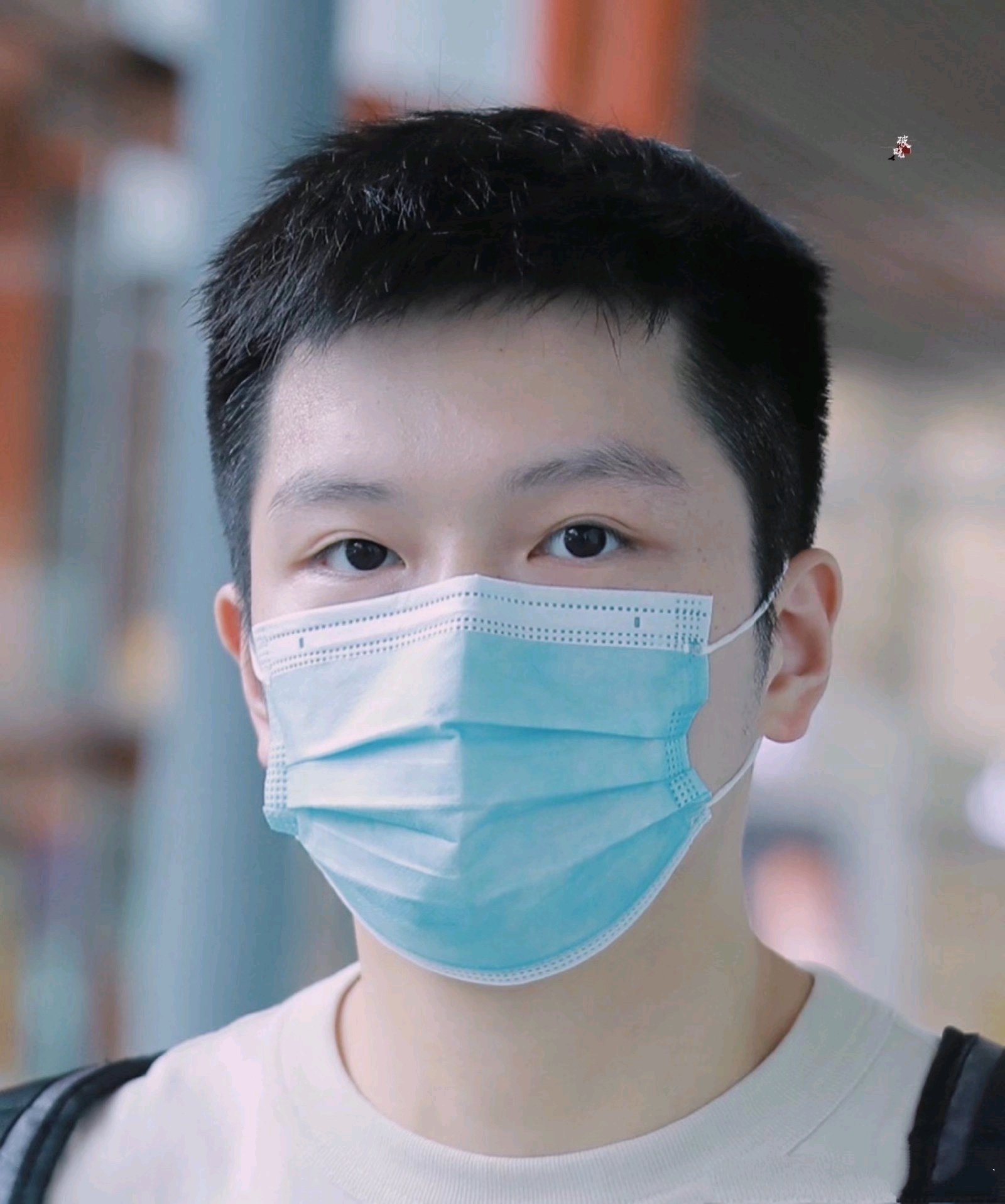 记喜欢樊振东的第一年