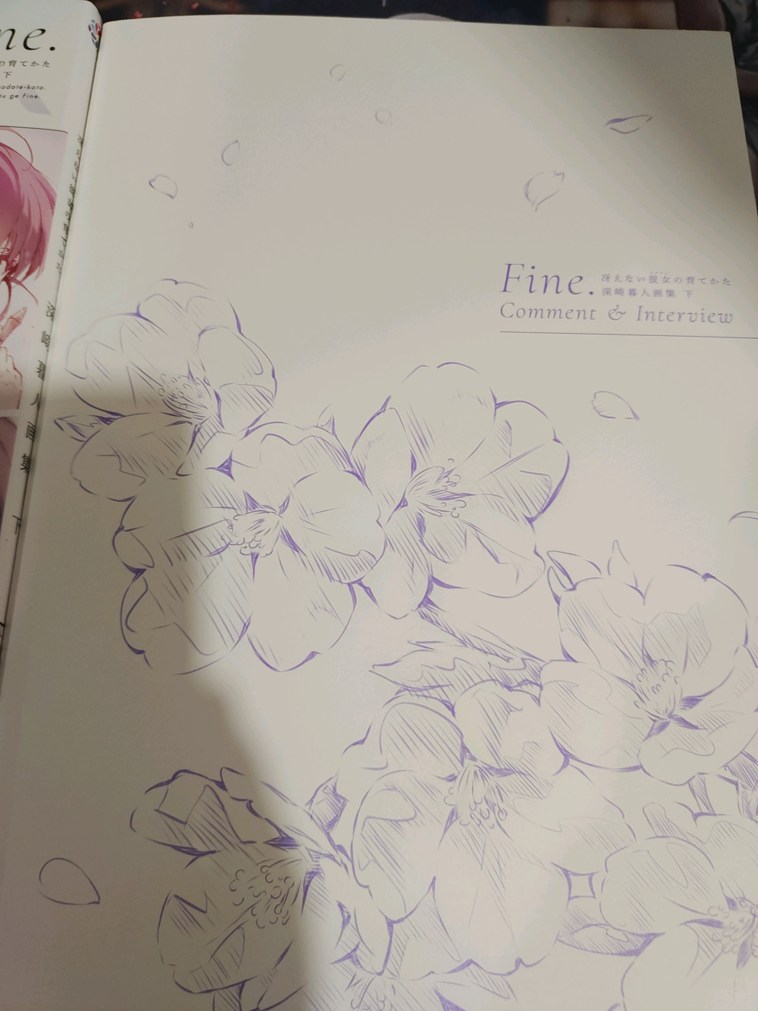 路人女主的养成方法 fine.原画集 下