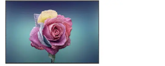 Ps教程 魔棒工具快速抠图技巧 哔哩哔哩 Ps教程 魔棒工具快速抠图技巧 哔哩哔哩