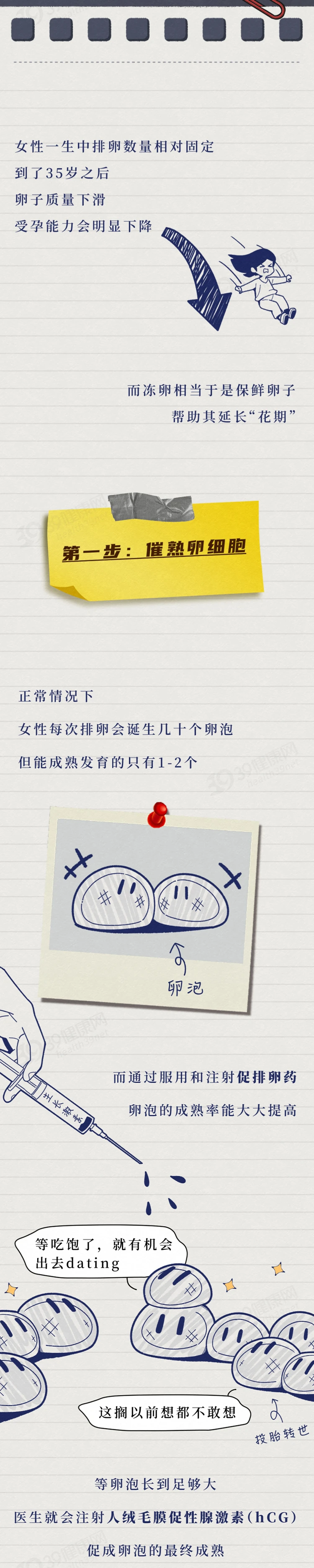 年龄越大，卵子越差！不婚的单身女性选择冻卵后，都怎样了？图3