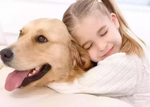 爱主人的狗狗,最后都会变成这样!宠物犬爱主人的表现有哪些?