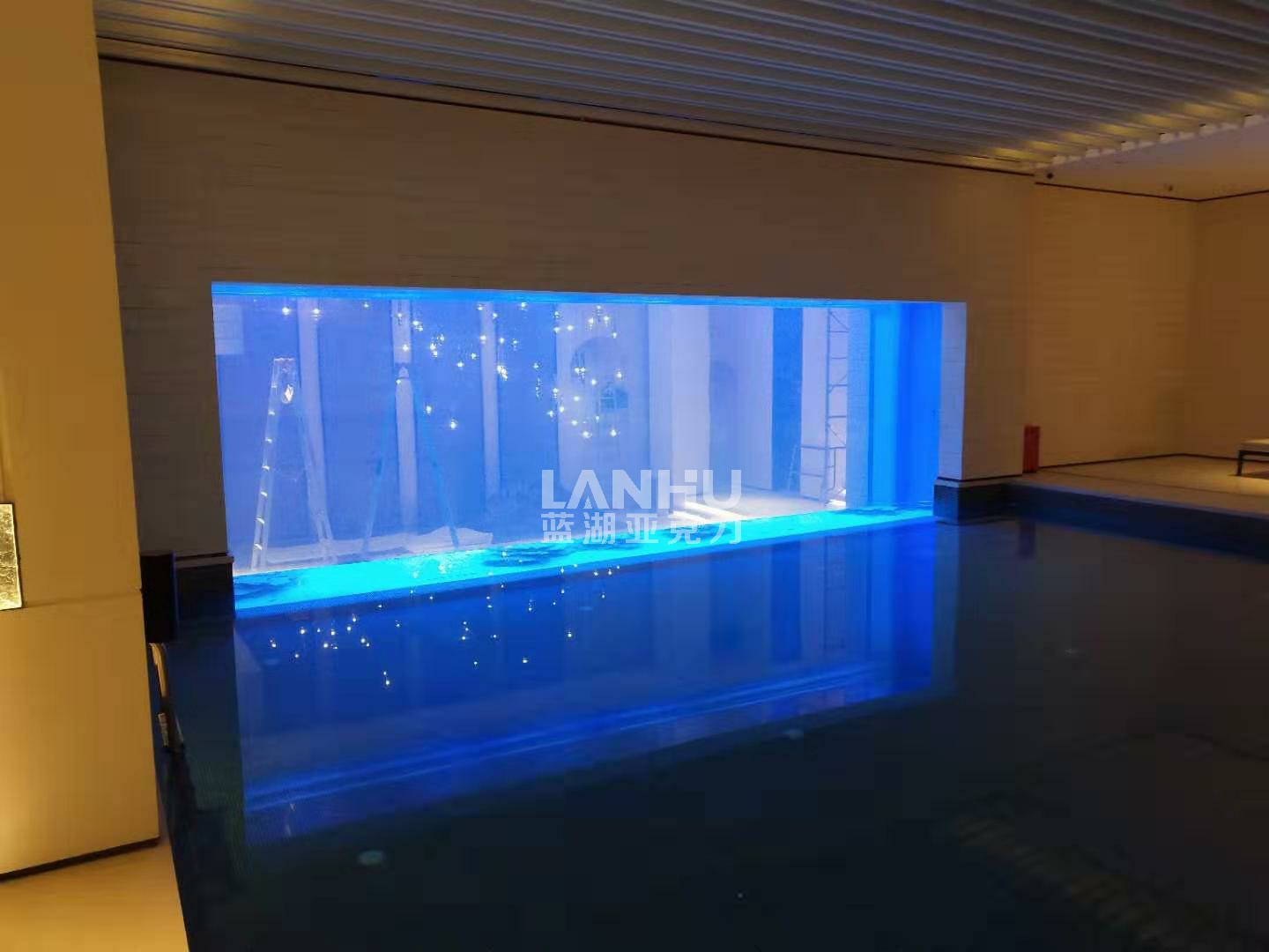 鱼缸造景草原效果_海水鱼缸珊瑚造景图_壁挂鱼缸造景图片
