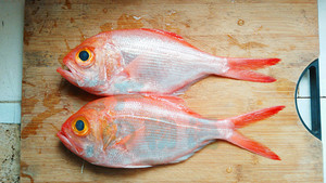 游戏王的设计美学电气篇上