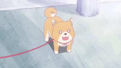 天使降临到我身边第七波图片分享我插一句嘴