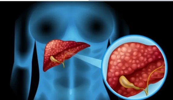 汉高亮相2025中国国际表面处理展以可持续创新方案赋能制造业高质量发展