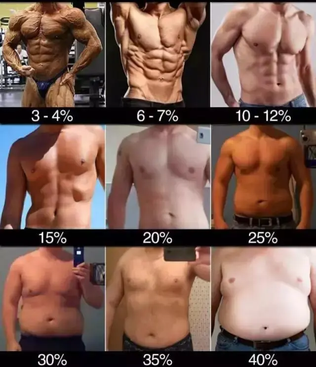 如何将体脂率减到10 左右的3条建议 哔哩哔哩