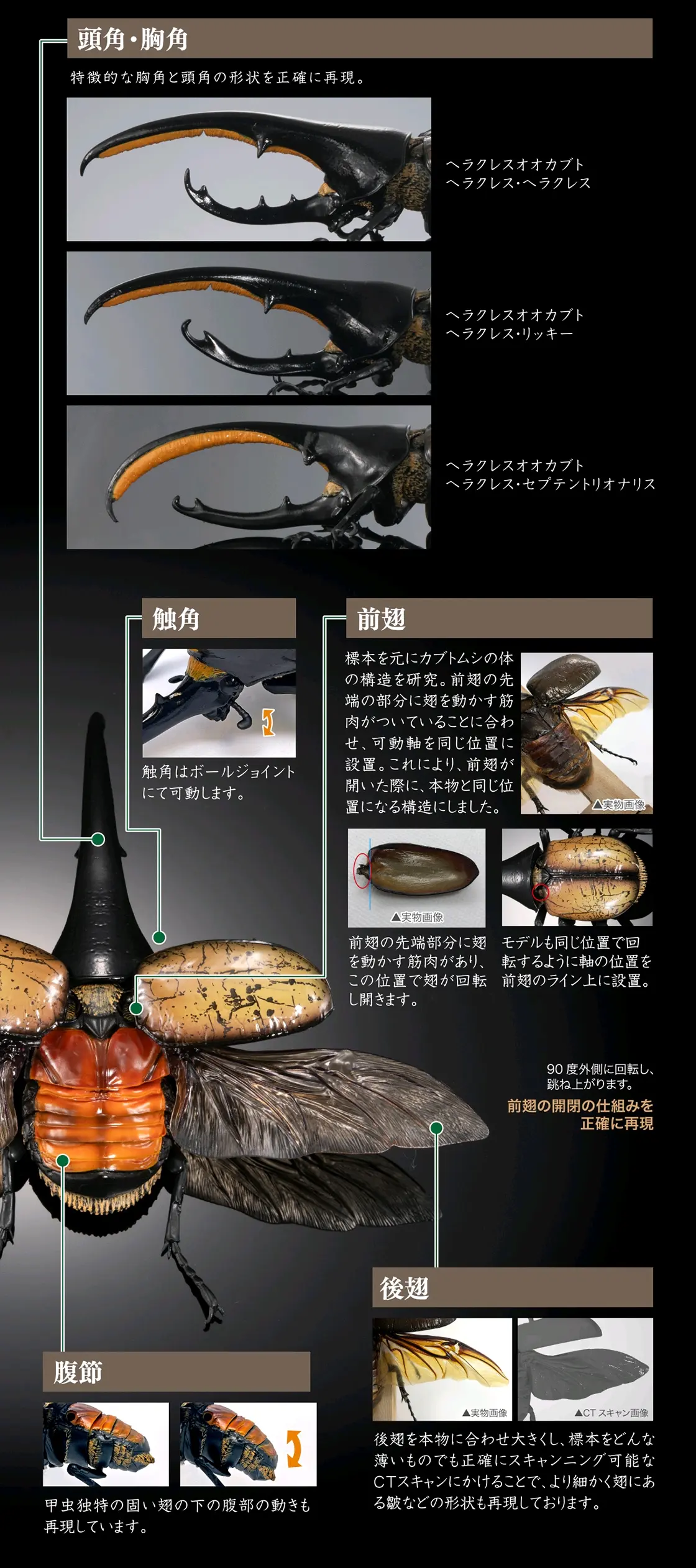 万代 生物大图鉴advance 长戟大兜虫