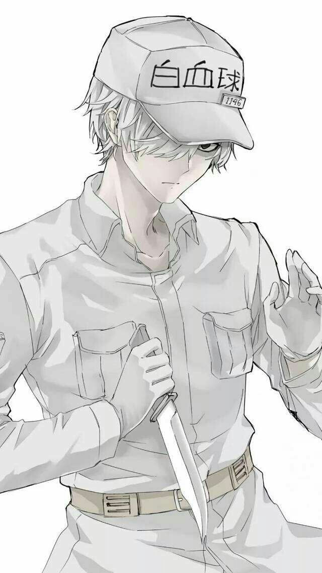 工作细胞同人图