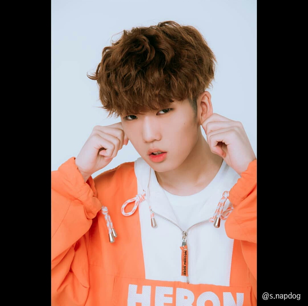 〔李炳宰VENXIN 金夏温HAON〕近期ins更新2