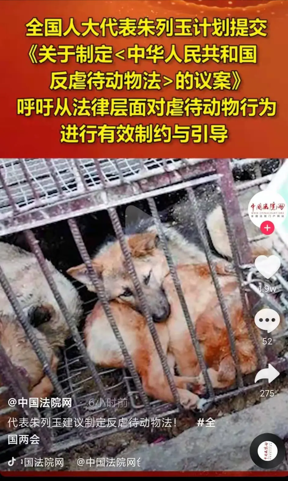 虐待猫狗要被入罪？人大代表称反虐待动物具备立法基础，已提案- 哔哩哔哩